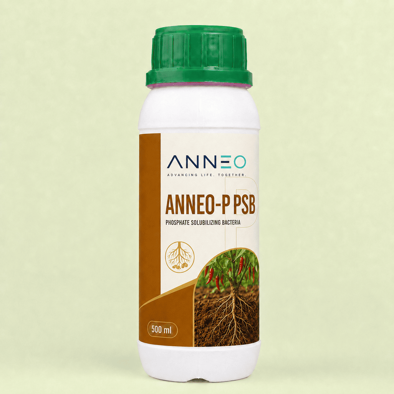 Anneo P PSB